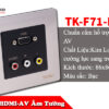 Ổ Cắm Âm Tường VGA + AV