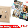 Mặt Wifi âm tường cao cấp Tenko