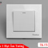 Công tắc 1 hạt âm tường mặt nhựa màu trắng tenko TK-TT-01