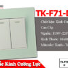 công tắc kính cường lực chống xước cao cấp giá rẻ tenko tk-f71-d-02