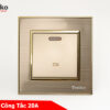 Công tắc 20A