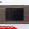 Ổ cắm đôi 2 chấu + công tắc TK-C6A-025