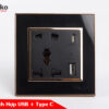 TK-F66-44 Ổ căm tích hợp USB + Type C