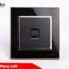 Ổ 1 mạng LAN đen