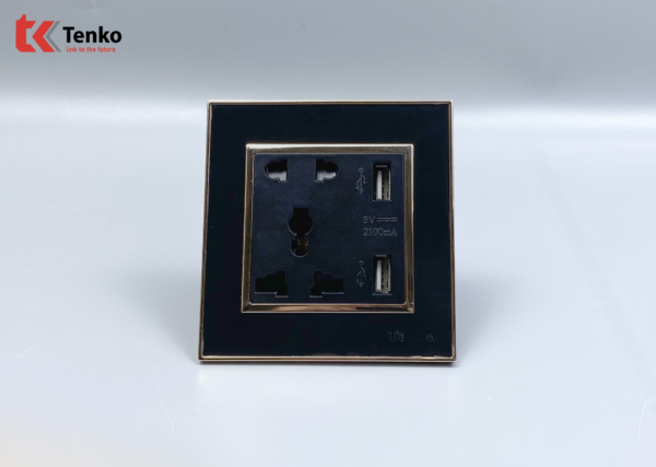 Ổ Cắm Đôi Tích Hợp USB Vuông Nhựa Đen Viền Vàng  TK-F66-44