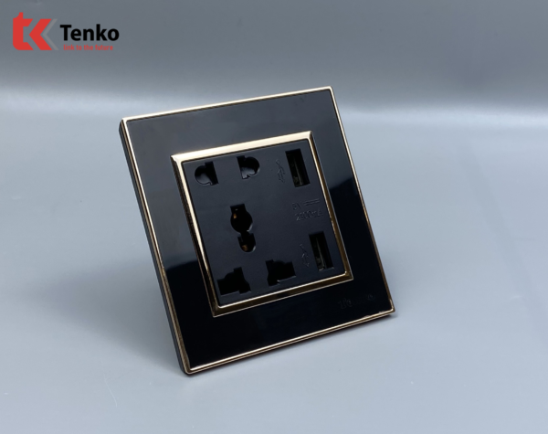 Ổ Cắm Đôi Tích Hợp USB Vuông Nhựa Đen Viền Vàng  TK-F66-44