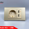 Ổ Cắm Chìm Chuẩn Đức Có USB Mặt Chữ Nhật Kính Cường Lực Tenko TK-C18-065 Vàng