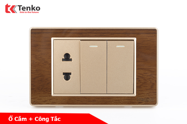 Công Tắc 2 Nút Và Ổ Cắm Đôi Âm Tường Mặt Vân Gỗ Bo Viền Vàng TENKO TK-C6-027