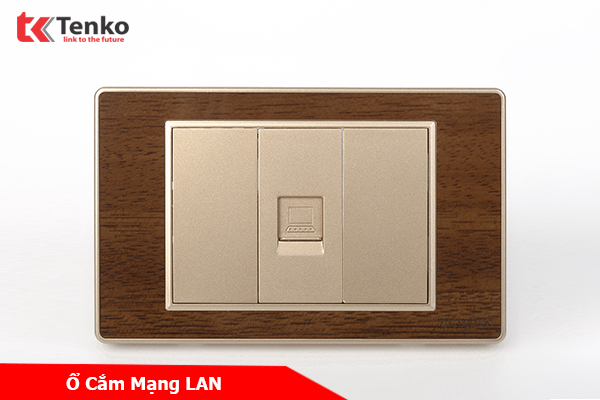 Ổ Cắm LAN (RJ45) Mạng Cho Tivi và Máy Tính Âm Tường Mặt Vân Gỗ Bo Viền Vàng TK-C6-073