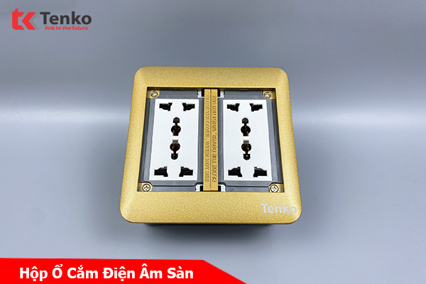 Ổ Cắm Điện Đôi 3 Chấu Âm Sàn Thông Dụng Chính Hãng Tenko TK-DS-111S04 Vàng