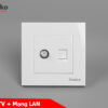 Ổ cắm TV và Mạng LAN âm tường
