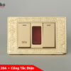 Công Tắc Công Suất Cao 20A + Đèn Báo + Công Tắc Mặt Hoa Văn Tân Cổ Điển TK-C8-081