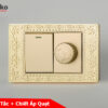 Chiết Áp Quạt + Công Tắc Mặt Hoa Văn Đồng Nguyên Khối Tenko TK-C8-087