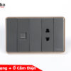 Ổ cắm mạng + ổ cắm điện c1