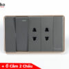 Công tắc + ổ cắm 2 chấu C1