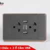 Ổ Cắm 3 chấu + 2 Ổ Cắm USB C1