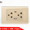 Ổ Cắm Đôi 3 Chấu Và USB Và Type C Âm tường Cao Cấp TENKO TK-C25-045 – Mặt Nhựa PC Vàng